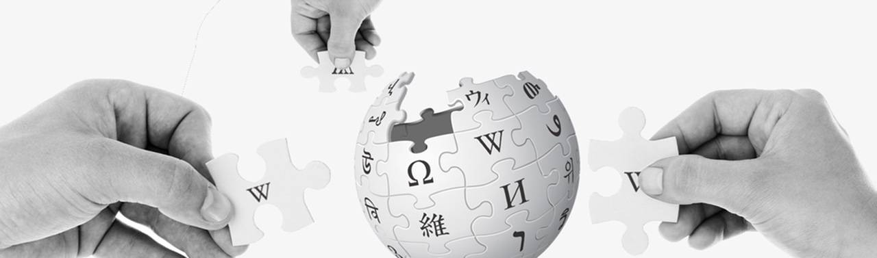 Nuancierte Wahrheitsordnungen? Systemische Konkurrenz am Beispiel der community-basierten Content Moderation der Wikipedia