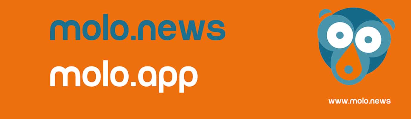 Logo von molo.news, ein stilisierter Affe, auf orangem Grund. Daneben der Schriftzug "molo.news" und "molo.app".