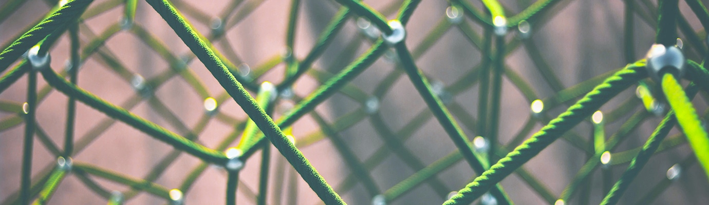 Netz aus grünen Seilen